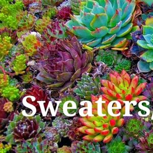 Sweaters/Sweatshirts